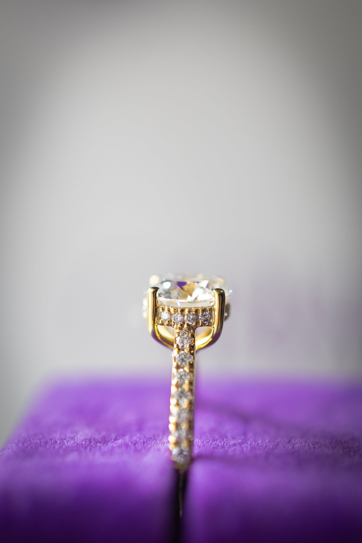 Pave with Hidden Halo Ring (Round)