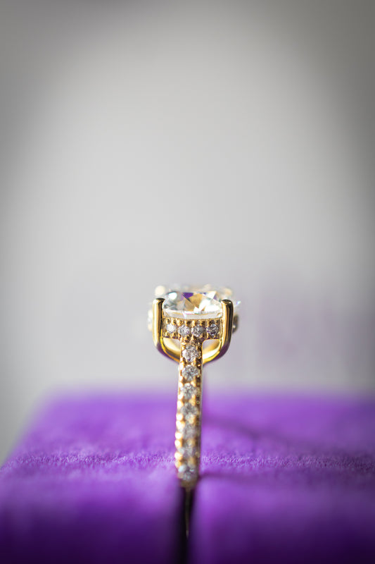 Pave with Hidden Halo Ring (Round)